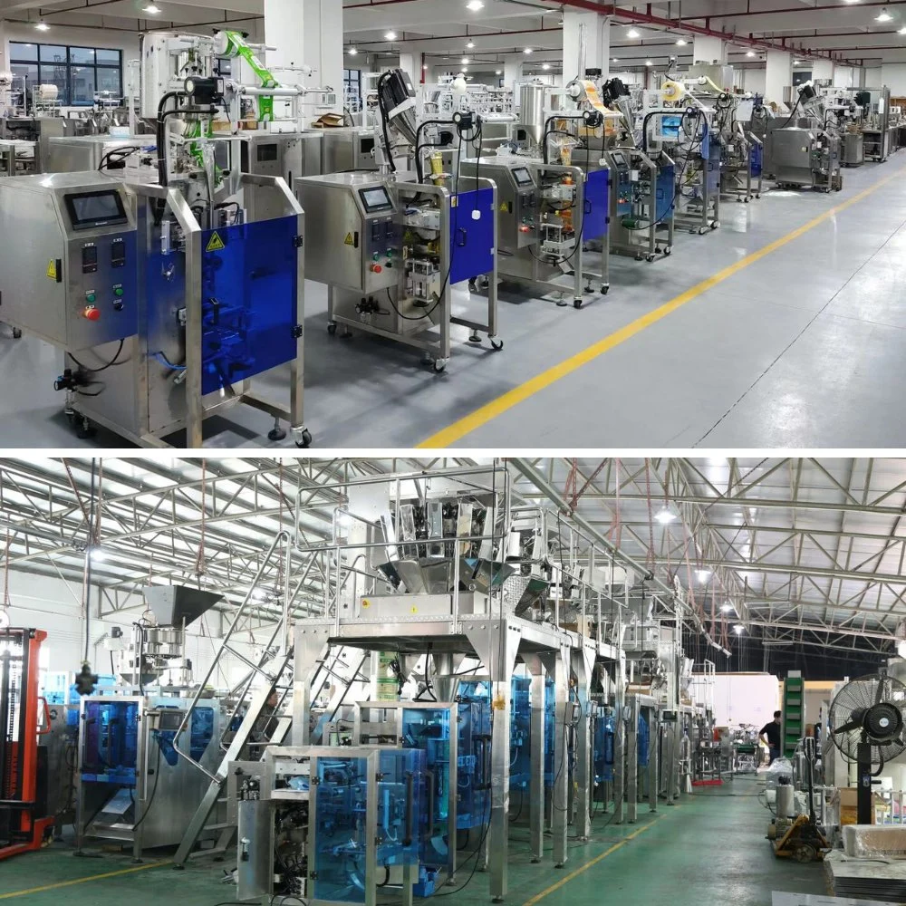 Automatic 100g 150g 200g 250g Weigh Fastener Filling Bagging Packing Machine